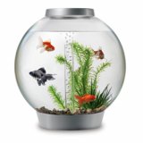 biOrb Classic 30L Warmwasser Komplett-Aquarium