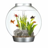 biOrb Classic 60L Warmwasser Komplett-Aquarium
