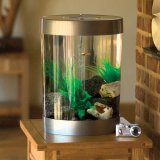 biUbe 35 Liter Komplettaquarium mit LED-Licht