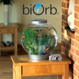 biOrb Classic 60L Kaltwasser Komplett-Aquarium