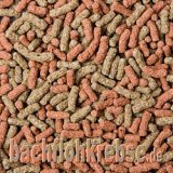 Hochwertige Schildkr�tensticks 2 farbig