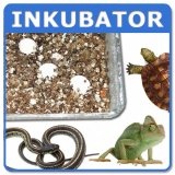 Brutkasten / Inkubator