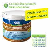 S�ll TeichschlammEntferner