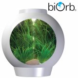 spyOrb Komplett Aquarium 30L Kaltwasser