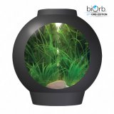 spyOrb Komplett Aquarium 30L Kaltwasser