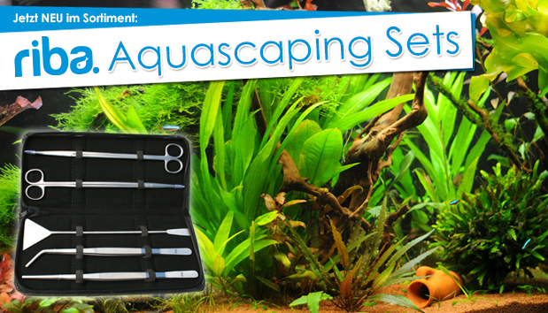 35+ Aquaristik-Terraristik-Teich-Profivalenta-Aquaristik, Im laufe