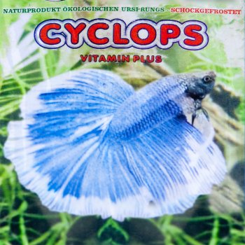 Cyclops (Ruderfußkrebse) 100g Frostfutter
