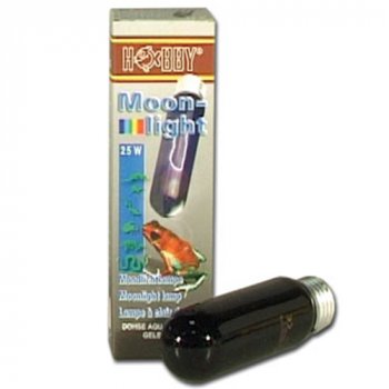 Hobby Moonlight, Mondlicht 25 Watt