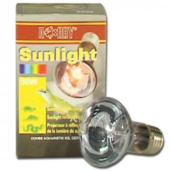 Hobby Sunlight 50 Watt