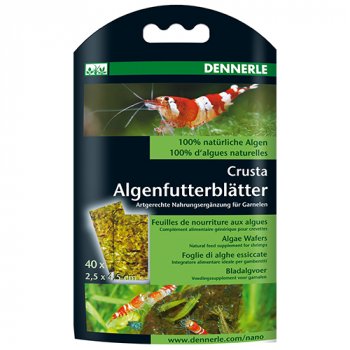 Dennerle Nano Algenfutterbltter - 40 Stck