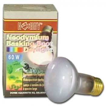 Neodymium Basking Spot Daylight 60 Watt Lampe