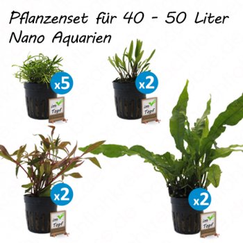 Pflanzenset für 40 - 50 Liter Nano Aquarien