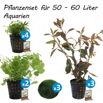 Pflanzenset für 50 - 60 Liter Aquarien
