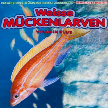 Weie Mckenlarven 100g Frostfutter