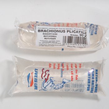 Seewasserrdertierchen - Rotiferen Lebendfutter