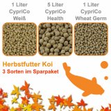 Frhjahr- / Herbstfutter Koi  -  2 Sorten im Sparpaket
