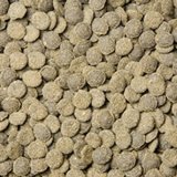 Miniwafers mit 6% Spirulina