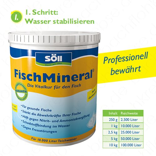 Söll FischMineral