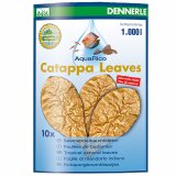 Dennerle Aqua Rico Catappa Leaves - Seemandelbaumbltter