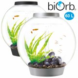biOrb Classic 60L Kaltwasser Komplett-Aquarium