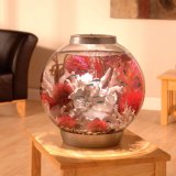 biOrb Classic 30L Warmwasser Komplett-Aquarium