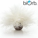 Seelilie Dekoration für biOrb Aquarien
