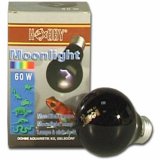 Hobby Moonlight, Mondlicht 60 Watt