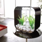 biOrb Life Quadrat 30 Liter