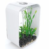 biOrb Life Portrait 45 Liter