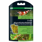 Dennerle Nano Algenfutterbltter - 40 Stck