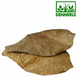 Dennerle Nano Catappa Leaves - 12 Stck