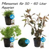 Pflanzenset fr 50 - 60 Liter Aquarien