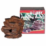 Reptile Feeding Rock Hobby