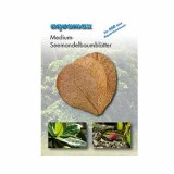 Seemandelbaumblätter - medium