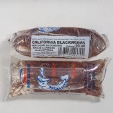 Glanzwürmer / California Blackworm - Lebendfutter - Lumbriculus variegatus