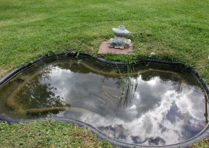 Algen im Teich - Wege zu einem algenfreien Teich: Teichfilter, UV-Klärer &  Co.