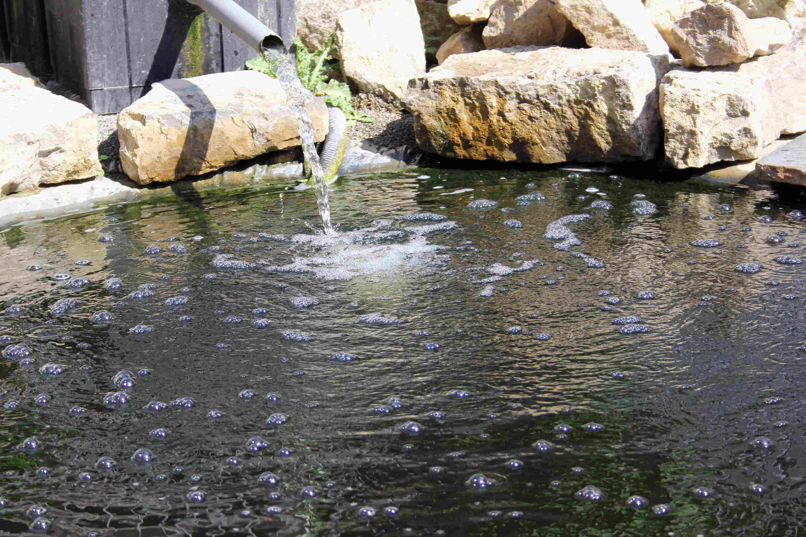 Kristallklares Teichwasser mit Luftblasen