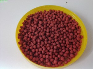 Koifutter Pellets mit Paprika