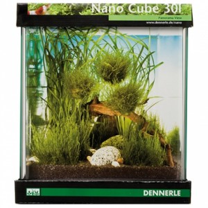 Garnelenaquarium Nano